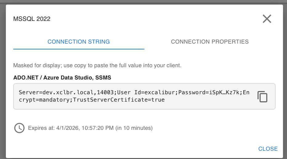 MSSQL database target details showing the connection string