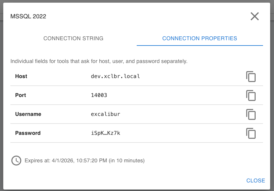 MSSQL database target details showing individual connection properties